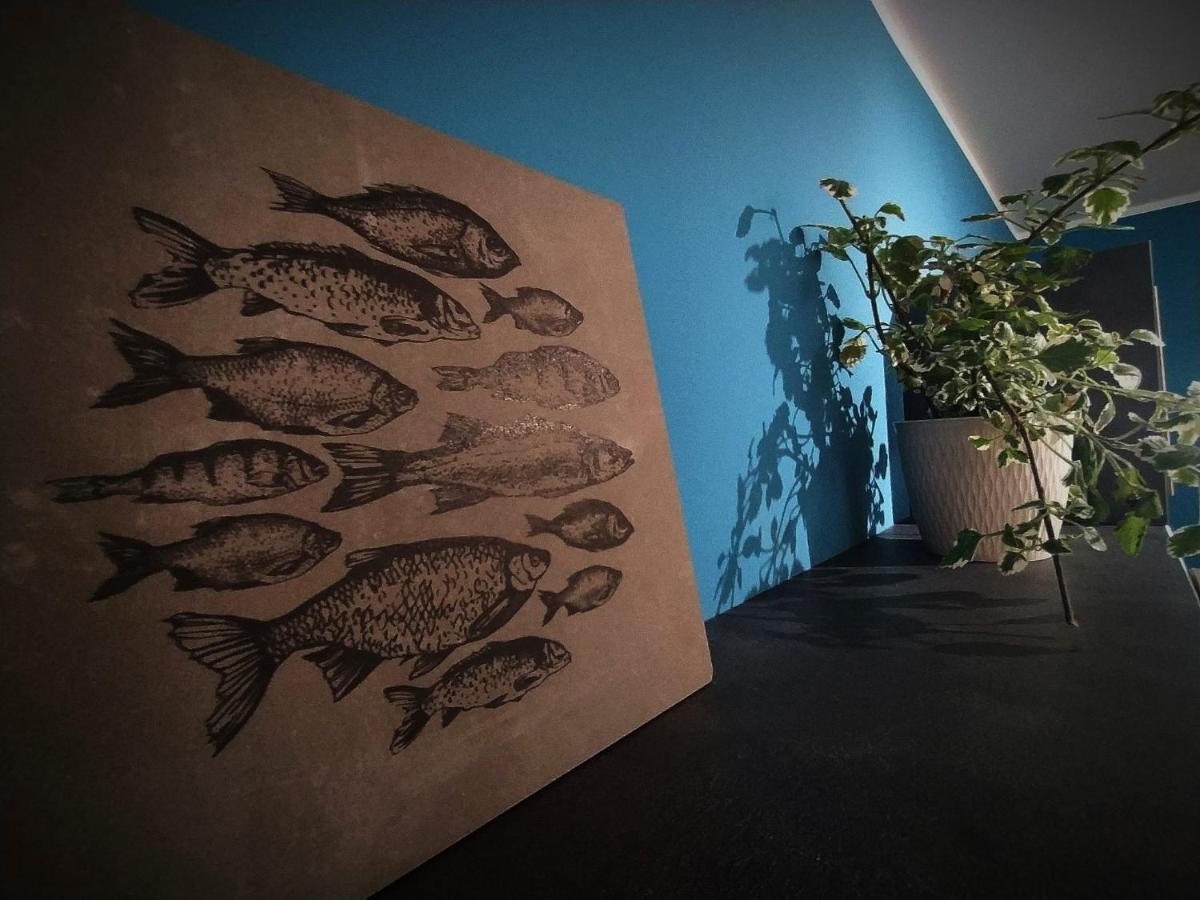 Vila La Casa Del Pesciolino Chioggia Exteriér fotografie